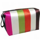 Stripe Cosmetic Bag